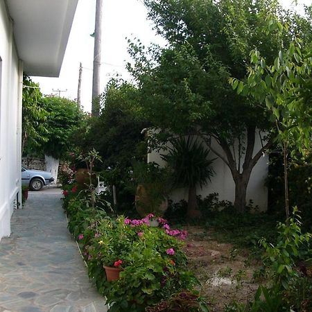 Oasis Studios Palaiochora Dış mekan fotoğraf