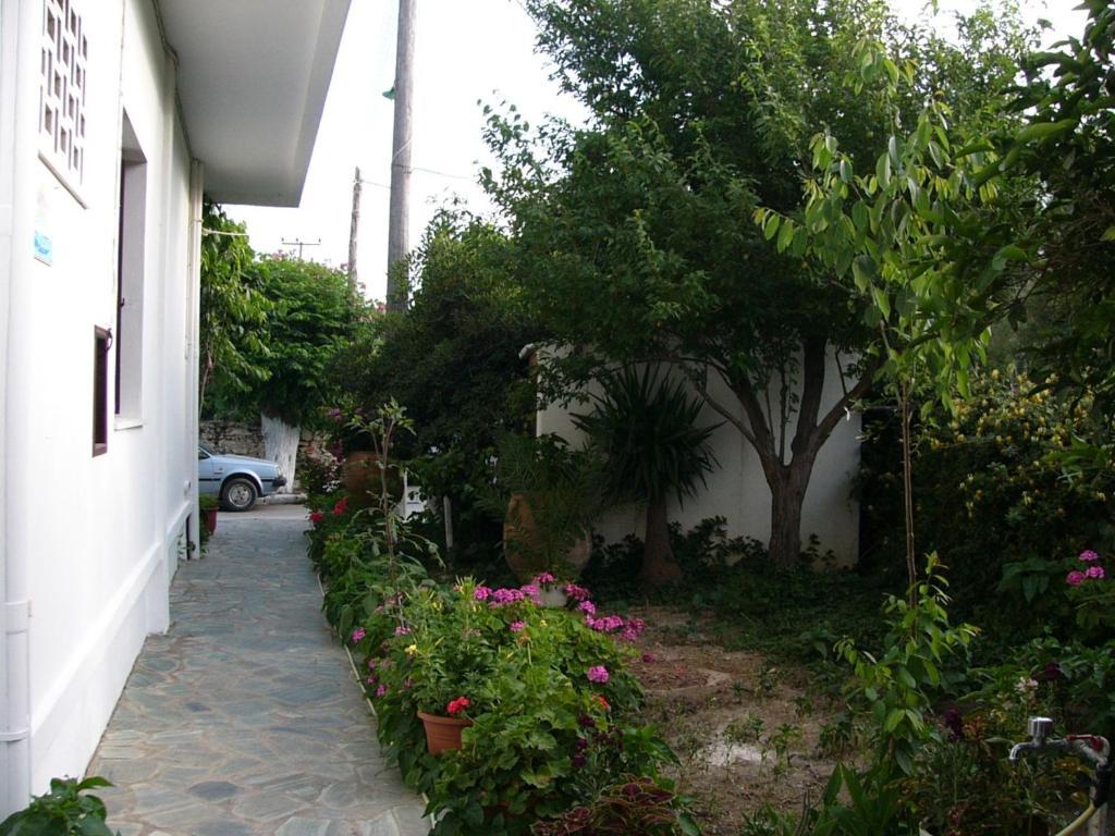 Oasis Studios Palaiochora Dış mekan fotoğraf