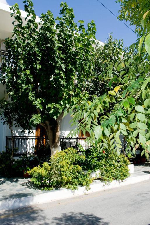 Oasis Studios Palaiochora Dış mekan fotoğraf